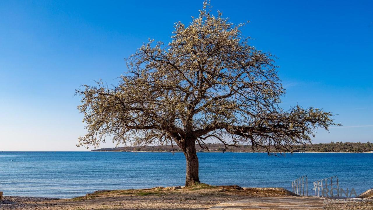 Rona Holiday Home Ana Poreč Kültér fotó